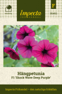 Petunia zwisająca F1 'Shock Wave Deep Purple', głęboki purpurowy, duże kwiaty