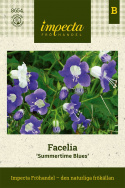 Facelia 'Summertime Blues', jasno niebieskie i białe kwiaty w pięknym zestawieniu.
