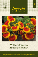 Toffelblomma F1 ''Dainty Red Yellow''. Nabrzmiałe, jaskrawo żółte kwiaty.