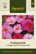 Praktyczny portulak F1 'Happy Hour Pink Passion Mix', Podwójne kwiaty w odcieniach różu
