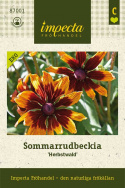Sommarrudbeckia 'Herbstwald', odporna, miedziano-czerwone kwiaty z pomarańczowo-żółtymi końcówkami.