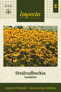 Strålrudbeckia ''Goldblitz''