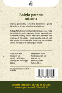 Szałwia błękitna, intensywny goryczkowy niebieski, kwiaty wargowe o średnicy 5 cm w delikatnych gronach.