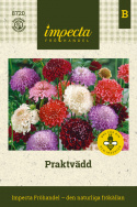 Praktyczna werbena, gęste, podwójne kwiaty na wysokich łodygach. Pachnąca mieszanka kolorów.