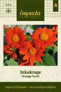 Inkakrage 'Orange Torch' intensywnie pomarańczowe kwiaty z pomarańczowym środkiem