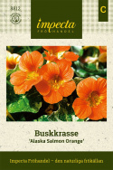 Rzeżucha krzaczasta ''Alaska Salmon Orange'' Kwiaty w kolorze łososiowym z białymi marmurkowymi liśćmi