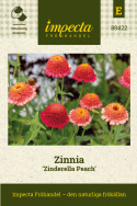 Zinnia 'Zinderella Peach', długa i trwała roślina kwitnąca, idealna do rabat i uprawy na kwiaty cięte.