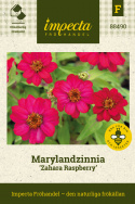 Marylandzinnia Zahara Raspberry - wiśniowo-czerwone do malinowo-różowych, pojedyncze kwiaty