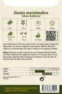 Marylandzinnia Zahara Raspberry - wiśniowo-czerwone do malinowo-różowych, pojedyncze kwiaty