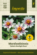 Marylandzka cynia ''''Zahara Starlight Rose'''' kremowo-białe kwiaty, różowa gwiazda, gu