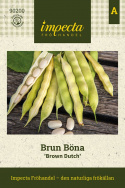 Brązowa Fasola 'Brown Dutch', Jasnozielone, proste i płaskie strąki, około 12 cm długości, z kremowobiałymi ziarnami.