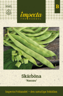 Fasolka szparagowa 'Nassau', jasnozielone około 16 cm długie, kruche strąki o delikatnym smaku fasoli.
