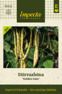 Fasola szparagowa 'Golden Gate', silnie rosnąca, bujne i zdrowe rośliny z obfitym plonem jasnozłotych, płaskich i pozbawionych włókien strąków.