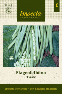 Fasola flageolet 'Flajoly', francuska fasola gourmet. Duże, zielono-białe fasole.