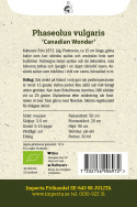 Fasola karłowa 'Canadian Wonder', strąki o długości około 15 cm, zielone, które można zbierać młode i używać jako fasolkę szparagową.