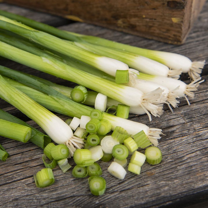 Szczypiorek sałatowy „Damast”, chrupiący wiosenny przysmak o ciemnozielonych liściach i małej białej łodydze