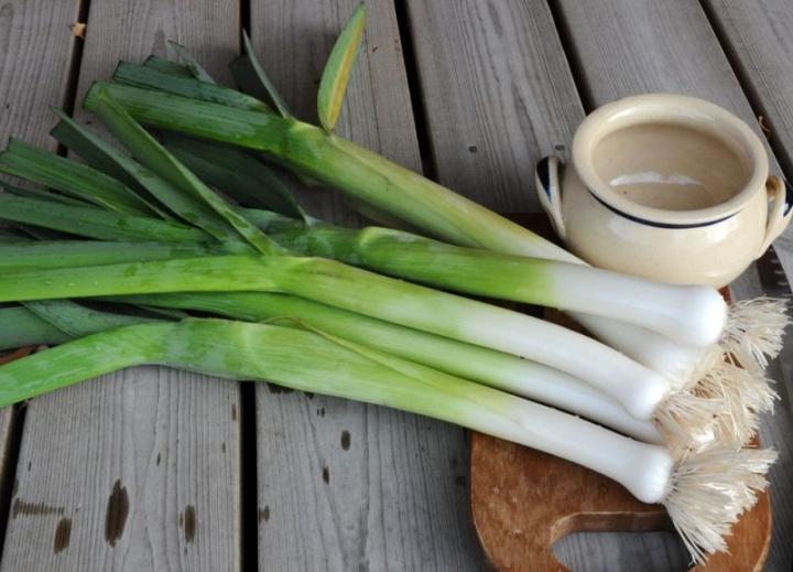 Por 'Atal', jasnozielone, delikatne łodygi z długą, białą podstawą.