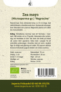 Popcorn 'Negrocine', Popcorn. Małe, dobrze wykształcone kolby, około 10 cm długości, z ciemnoniebiesko-czarnymi, srebrzysto połyskującymi ziarnami.