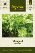 Mangold 