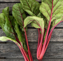 Mangold 'Magenta Sunset', Młode liście i łodygi są smaczne i dekoracyjne w sałatkach, podczas gdy w pełni wyrośnięte liście przygotowuje się jak szpinak.