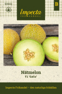 Melon siatkowy F1 'Galia', popularna i wczesna odmiana o równomiernie okrągłych, żółtobrązowych owocach ważących około 1 kg.