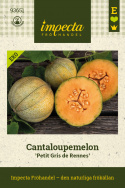 Melon kantalupa 'Petit Gris de Rennes', Małe, szarozielone owoce z jasnymi, srebrzystymi paskami, około 500-800 gramów.