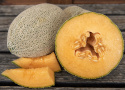 Melon siatkowy 'Hale's Best Jumbo', ciemnozielone, owalne owoce, pokryte dekoracyjną, białą siateczką.