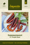 Sommarmorot F1 'Purple Haze', purpurowo-czerwone, stożkowate korzenie z pomarańczowym miąższem.