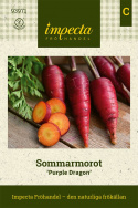 Korzeń marchwi letniej Purple Dragon, stożkowaty, ok. 15 cm, purpurowo-czerwone korzenie, pomarańczowe wnętrze