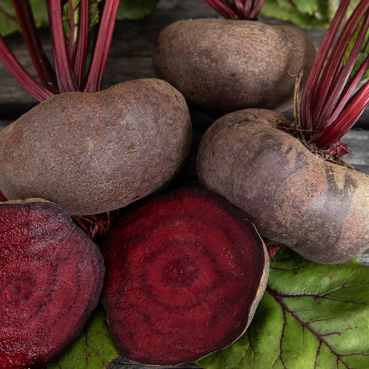 Burak ćwikłowy 'Egyptian', szybko rosnący, delikatny wiosenny przysmak, który doskonale nadaje się również do przechowywania.