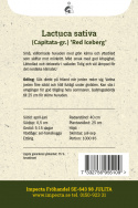 Sałata lodowa 'Red Iceberg' sałata o czerwono-zielonych odcieniach