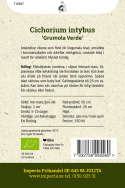 Sałata cykoria Grumola, Verde najpierw długie wąskie liście, następnie ciemnozielone, zaokrąglone
