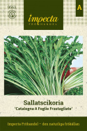 Sałata cykoria ''Catalogna A Foglie Frastagliate'' Długie, ciemnozielone liście