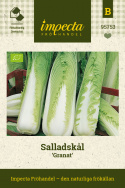 Sałata głowiasta 'Granat', wysokie, ściśle zrośnięte główki o wadze około 1-1,2 kg z białymi nerwami.