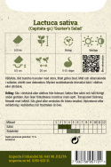 Sałata masłowa 'Gustav's Salad' luźno związane główki z dużymi, świeżo zielonymi liśćmi