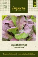 Sałata musztardowa Osaka Purple Zielone liście, które stopniowo przechodzą w ciemny, winny odcień czerwieni