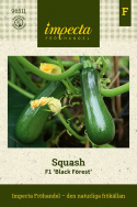 Dynia F1 'Black Forest' Gładkie, pulchne, zielone do czarnych z białym miąższem