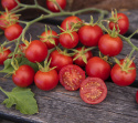 Pomidor wiśniowy 'Zuckertraube' małe, bardzo słodkie pomidory, okrągłe i czerwone