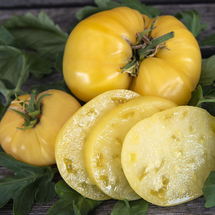 Pomidor mięsisty '''White Beauty''', dobrze wybarwiony o wysokiej słodyczy i delikatnie kwaskowy smak