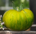 Pomidor ''Green Zebra'' Średniej wielkości owoce w żółtozielonym kolorze z ciemnozielonymi paskami