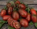 Pomidor śliwkowy 'Black Plum', Soczysty, słodki i ciemnoczerwony, dobrze zabarwiony miąższ.