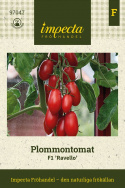 Pomidor śliwkowy F1 'Ravello', Gęste grona jasno czerwonych, owalnych pomidorów o wadze około 20 gramów.