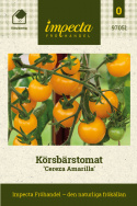 Pomidor koktajlowy 'Cereza Amarilla', doskonała równowaga między słodyczą a kwasowością. Niezwykły pomidor koktajlowy z liśćmi o kształcie ziemniaka.