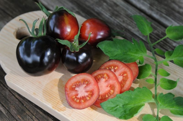 Pomidor 'Indigo Rose', czerwone pomidory, które w dojrzałości zmieniają się na czarne, czerwona wnętrze