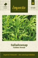 Musztarda sałatkowa 'Golden Streak', drobno wycięta, liściasta jak dąb, o przyjemnym, łagodnym, pikantnym smaku.