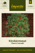 Pomidorki koktajlowe ''Cherry Cascades'', Metrowe pędy z długimi gronami pomidorów