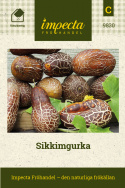 Sikkimgurka należy do rodziny ogórkowatych, ale wygląda jak podłużny brązowy orzech pod względem charakteru.